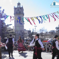 Πρόσκληση εκδήλωσης ενδιαφέροντος ανάθεσης τεχνικών εργασιών για την Κοζανίτικη Αποκριά 2017