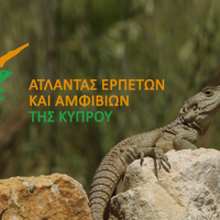 Άτλαντας Ερπετών και Αμφιβίων της Κύπρου: Συνεργασία του Ανοικτού Πανεπιστημίου Κύπρου και του Ερπετολογικού Συνδέσμου Κύπρου