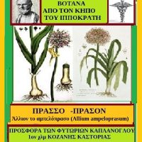 Πράσσο από τον κήπο του Ιπποκράτη – Της Μάρθας Στ. Καπλάνογλου
